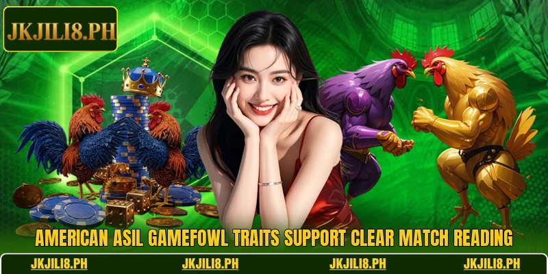American Asil gamefowl traits support clear match reading American Asil gamefowl traits support clear match reading