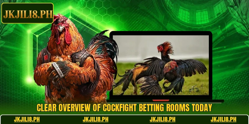 Clear overview of cockfight betting rooms today