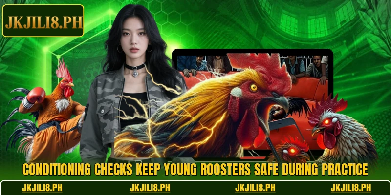 Conditioning checks keep young roosters safe during practice Conditioning checks keep young roosters safe during practice