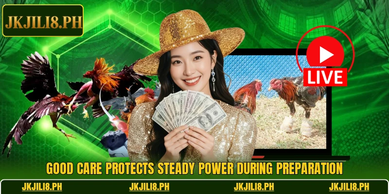 Good care protects steady power during preparation Good care protects steady power during preparation