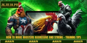 How To Make Roosters Aggressive And Strong – Training Tips
