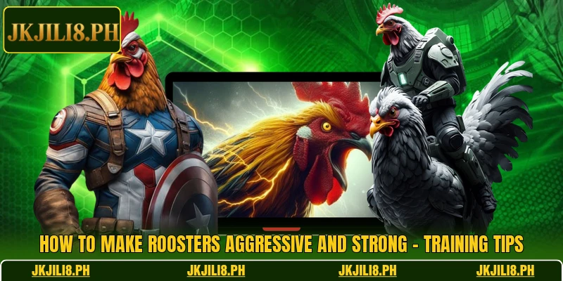 How To Make Roosters Aggressive And Strong – Training Tips