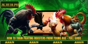 How To Train Fighting Roosters From Young Age – Full Guide