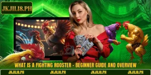 What Is A Fighting Rooster – Beginner Guide And Overview