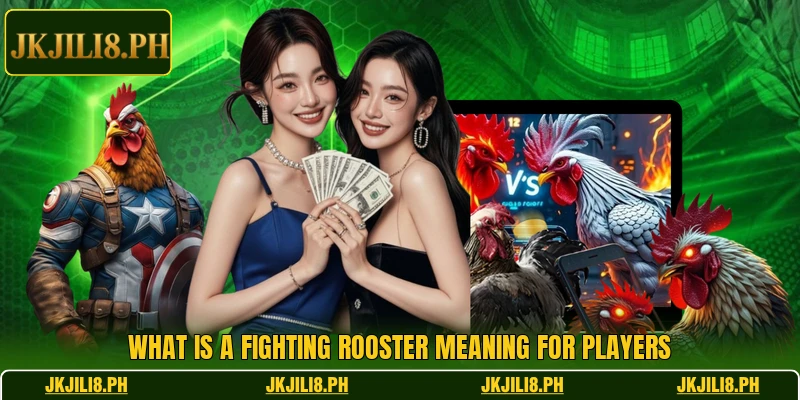 What is a fighting rooster meaning for players What is a fighting rooster meaning for players